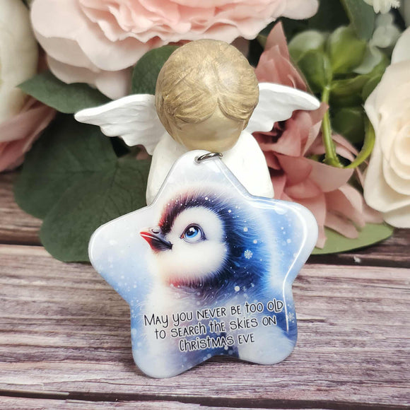 May you never be too old to search the skies on christmas eve, Penguin Christmas star ornament, Christmas gift, keepsake